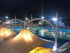 -杭州浪浪浪水公园