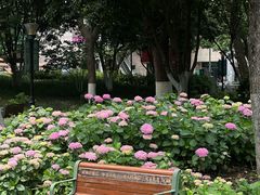 -常州古运河南大街文化旅游区-人民公园