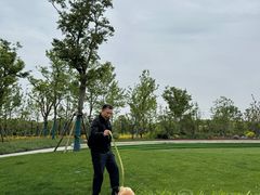 -九科绿洲