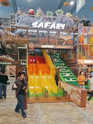 -卡通尼·Safari非洲探索乐园·生日会(金桥国际商业广场店)
