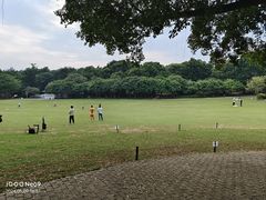 -莲花山公园