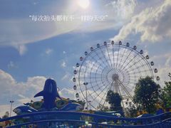 -洋湖国家湿地公园