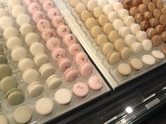 -BLACKSWAN黑天鹅(环球店)