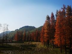 -广州市石门国家森林公园