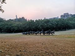 -广州雕塑公园