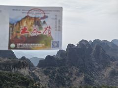 -王莽岭风景区