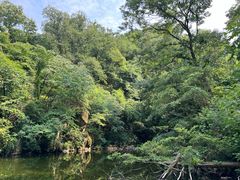 -素山寺森林公园