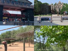-沈阳森林动物园