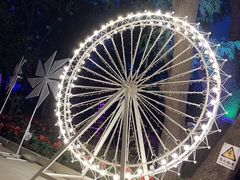 -枫花园汽车电影院(朝阳公园店)