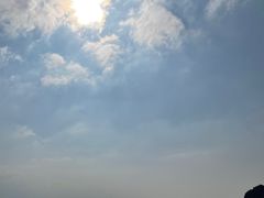 -涉地可支