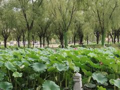 -哈尔滨师范大学(松北校区)