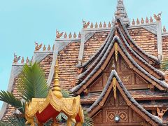 -西双版纳傣族园