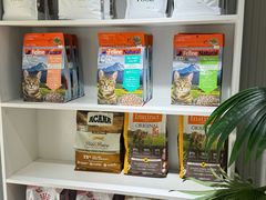 -青奢宠物·青奢猫舍