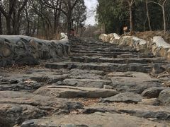 -阳台山自然风景区