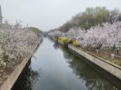 -海棠花溪(元大都城垣遗址公园)