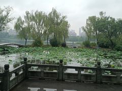 -武汉园博园(武汉自然博物馆)