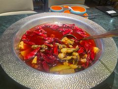 -麻田会 ·鲜活现烹·牛蛙火锅(珠江新城维家思广场店)