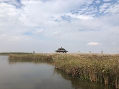 -宁波杭州湾国家湿地公园