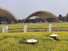 -中国天府农业博览园