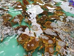 -盒马鲜生(宝地店)