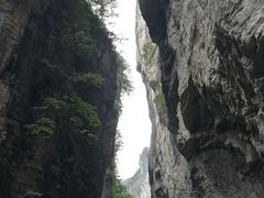 -蝶舞清江·恩施云顶景区(黄鹤峰林)