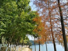 -凤岗南门山森林公园