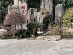 -新洲生态园