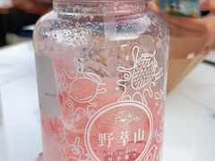 -野萃山·潮汕厚果汁(十亩地店)