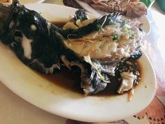 清蒸石斑鱼-花乐餐厅(涠洲岛店)
