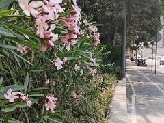 -招商局历史博物馆
