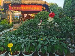 -天怡·鱼工厂(临江店)