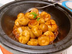 口蘑-悦融琥珀·京鲁菜·海味珍品(西单店)