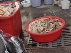 -守英猪脏粉(仓桥街店)