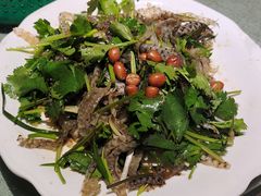-张记旺角食街(动物园店)