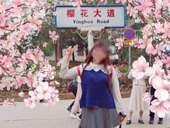 -武汉大学-樱园