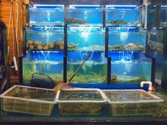 -老东镇啤酒屋海鲜加工·蒸汽海鲜·海鲜烧烤(台东店)