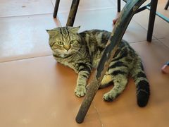 -友联菜馆(杉木栏路店)