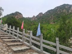 -大岭沟猕猴桃谷风景区