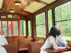 -合肥滨湖国家森林公园