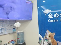 -全心全意连锁动物医院·微创中心·内科急重症·心脏专科(丰管路店)