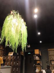 点击看大图 -藤野造型·专业烫染店