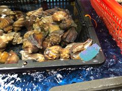 -聚鲜港（五洞）牛肉自选火锅