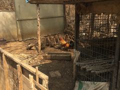 -姥家大锅台水库渔家