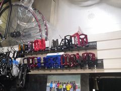 -道路口单车爱瓦士dahon大行