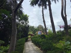 -南诏风情岛