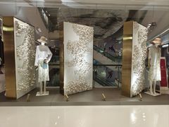 -羲和雅苑•北京烤鸭(乐园道万象城店)
