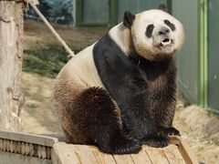 -栾川竹海野生动物园