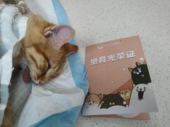 -联合动物医院(光谷诊疗中心)