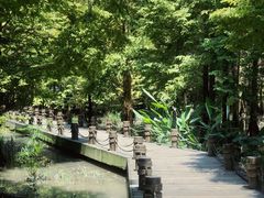 -桤木河湿地公园