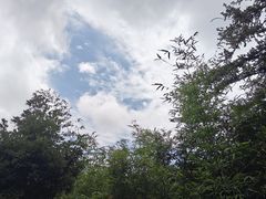 -鼓岭旅游度假区